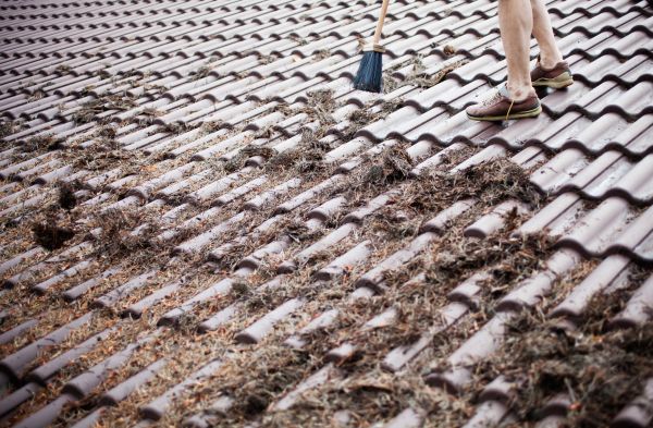 Pine Needle Roof Sweeping