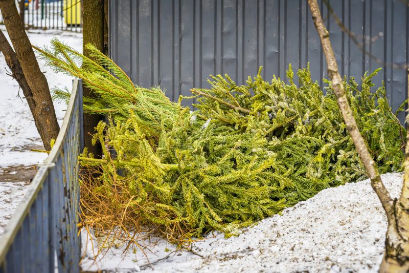 Roof Pine Needles Removal