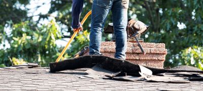 Roof Fungus Removal