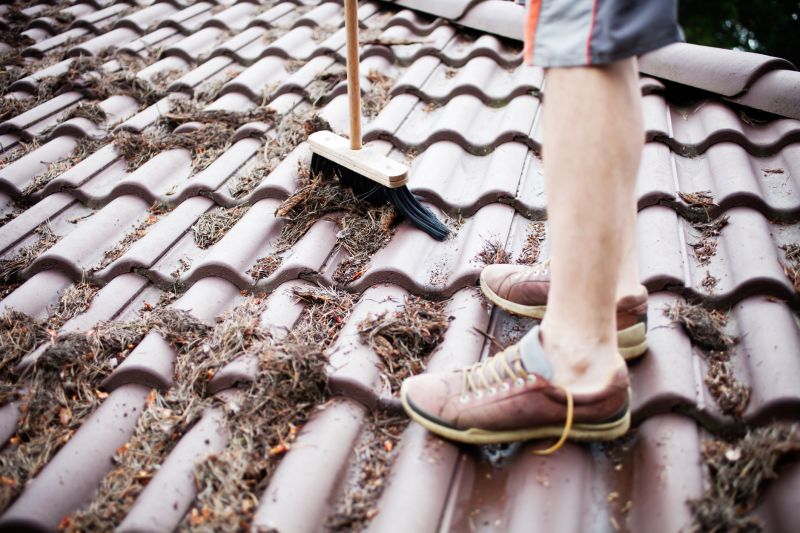 Roof Pine Needles Removal detail