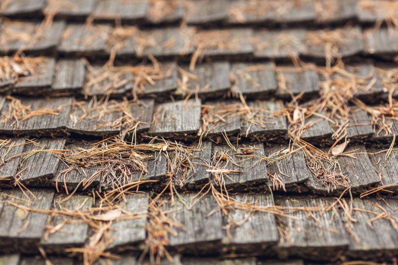 Roof Pine Needles Removal detail
