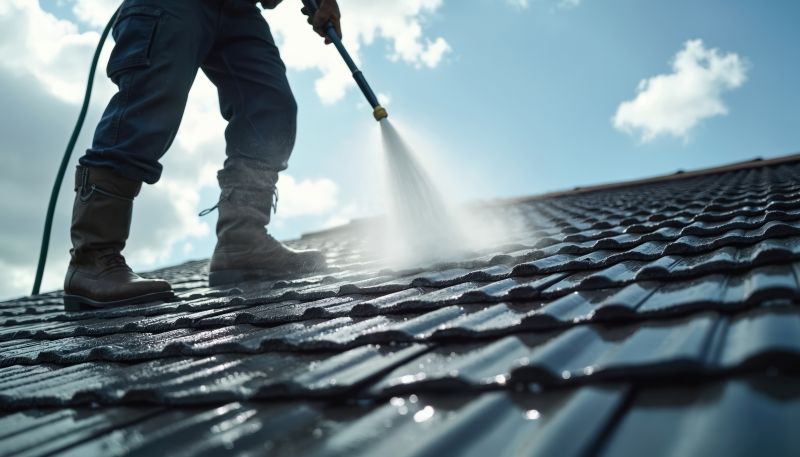 Metal Roof Cleaning in Vancouver, WA